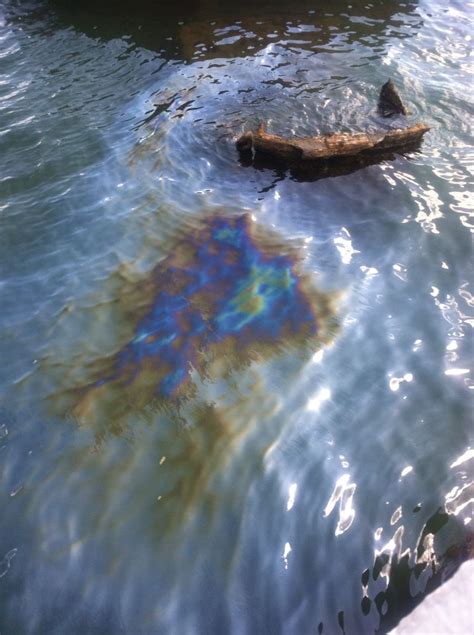 does oil still leak from the uss arizona|Studying the Effects of the Black Tears of USS Arizona